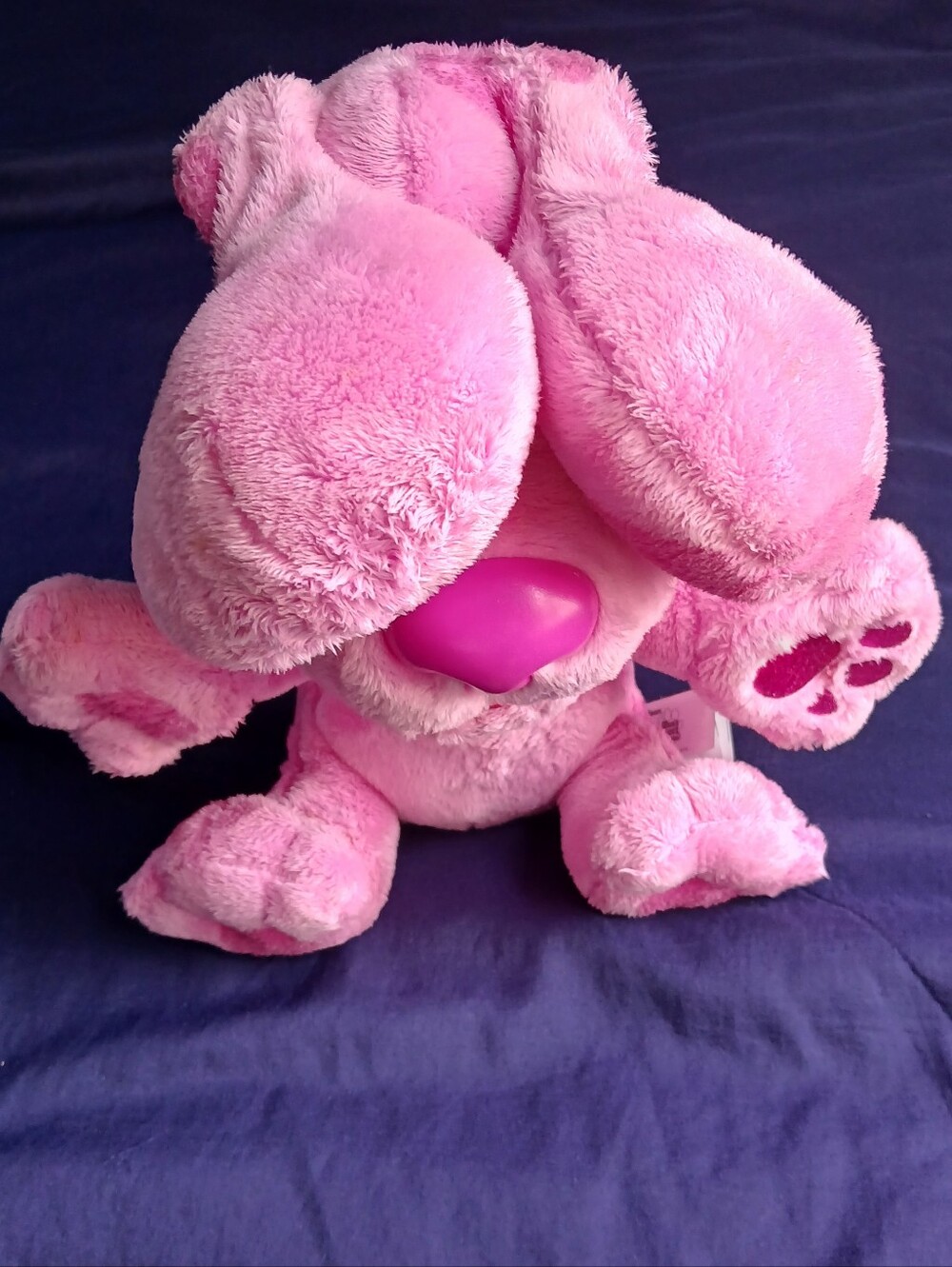 Blue's Clues & You! Peek-A-Boo Magenta  from Nickelodeon Blue's Clues & You